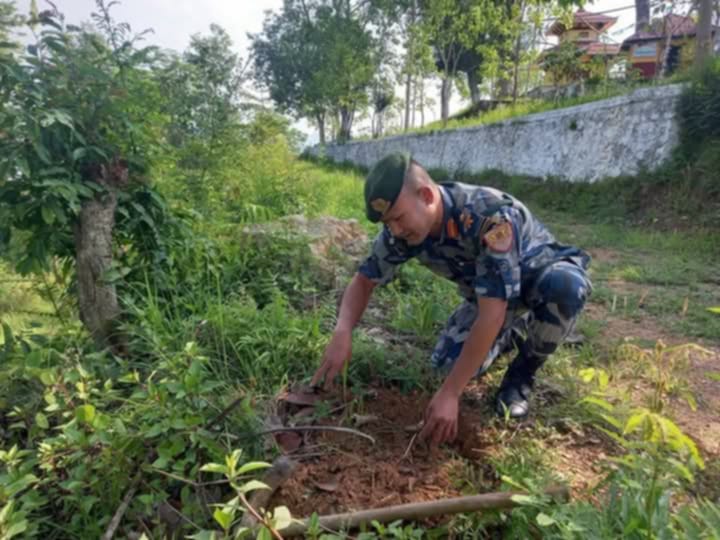 विश्व वातावरण दिवसको अवसरमा बराङ्गदी घिउँसीवास स्थित वृक्षरोपण